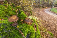 Acquachiara2016ott-0080