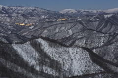 MacchiaDaSole2017gen-017